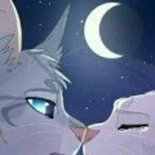 chat with ai character: donner clan 