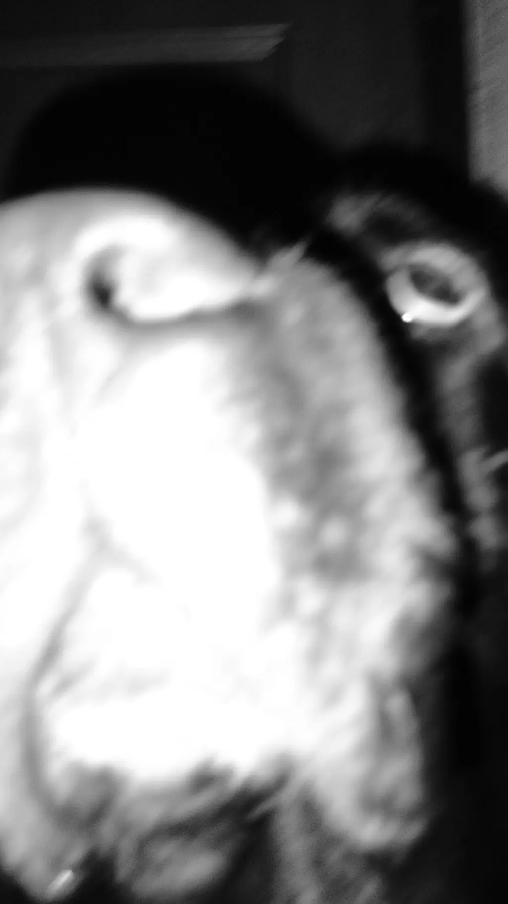 ai character: dog background