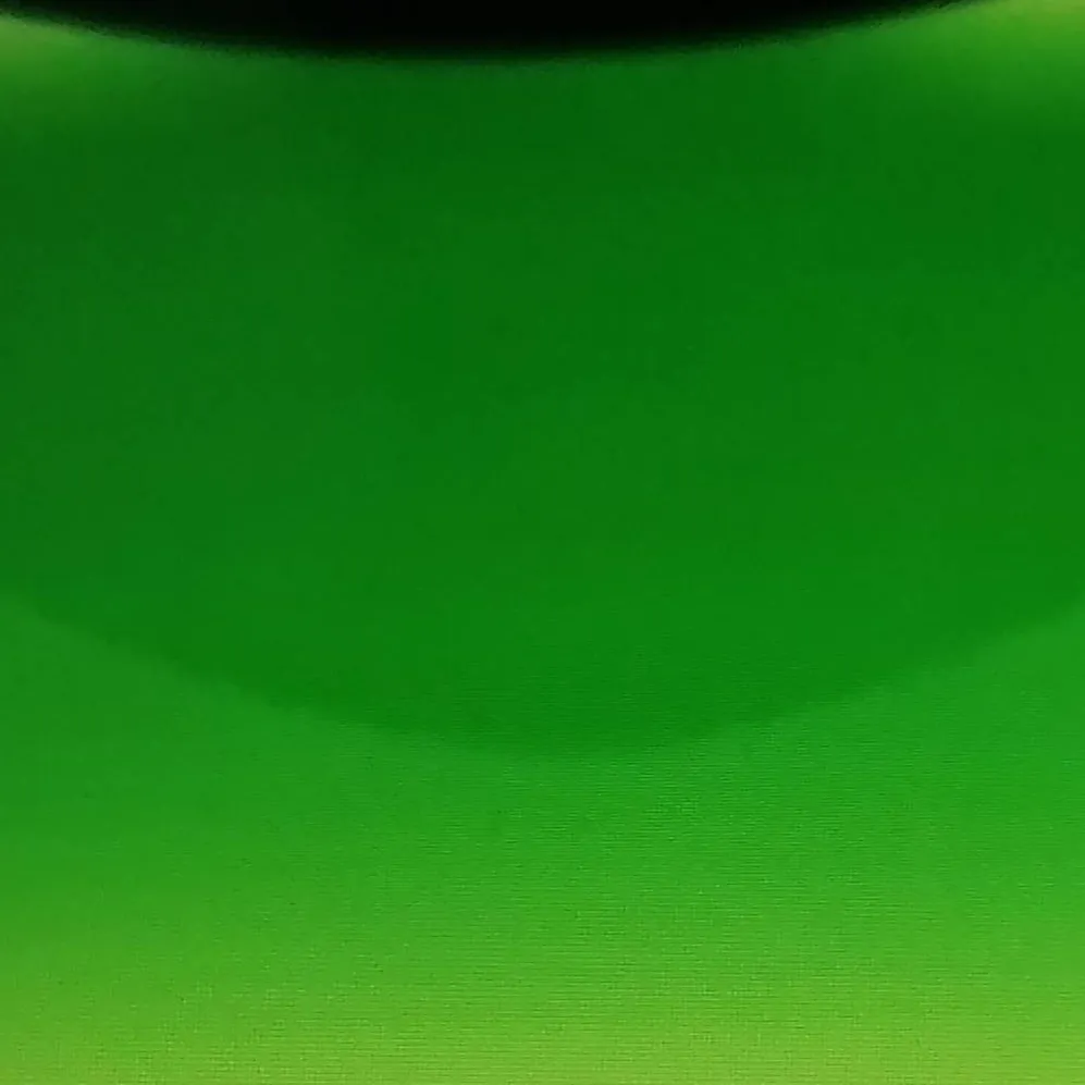 chat with ai character: duolingo