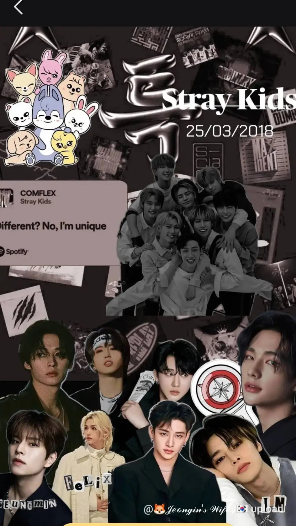 ai character: skz 🤪 background