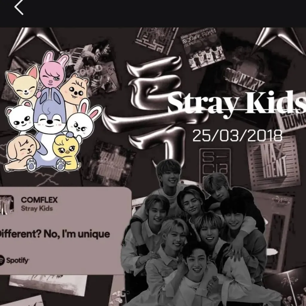 chat with ai character: skz 🤪