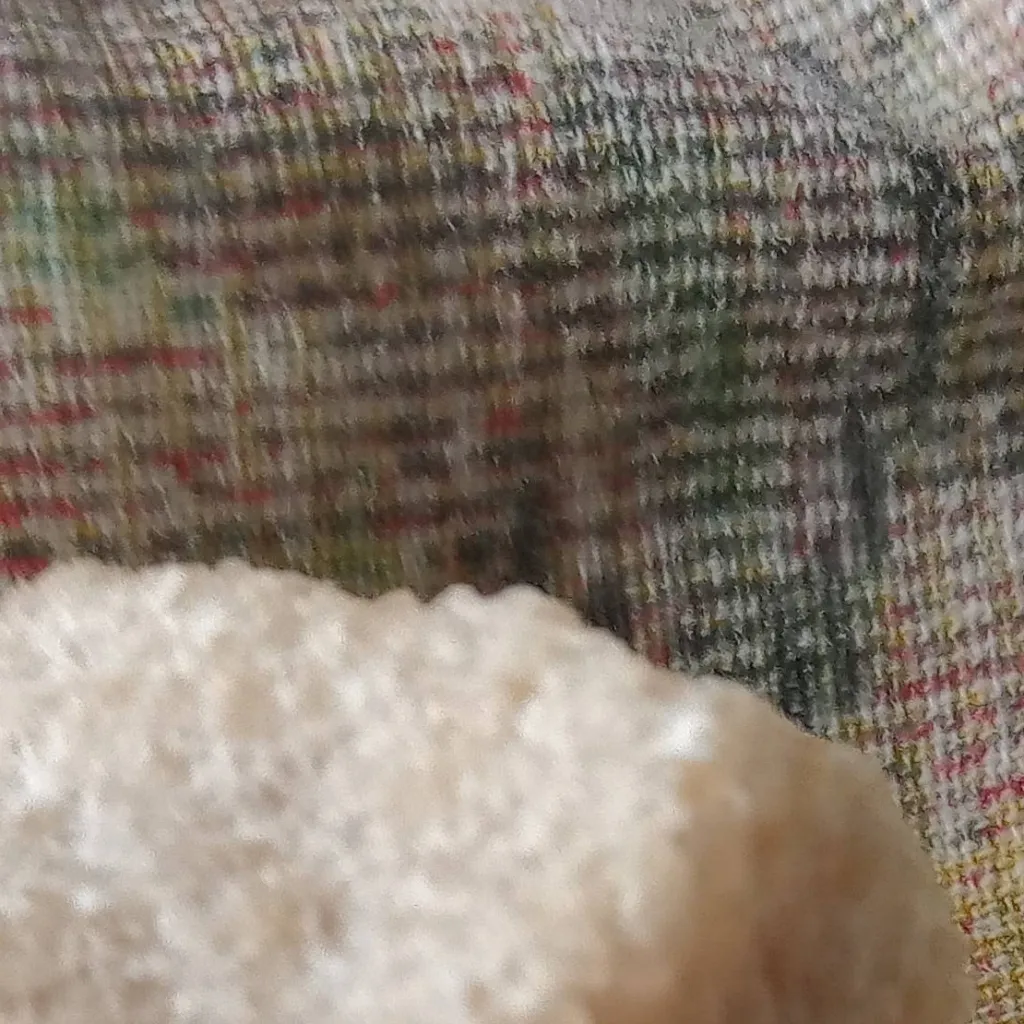 chat with ai character: sugar cubes