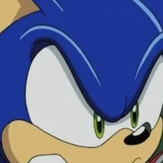 chat with ai character: Angry sonic