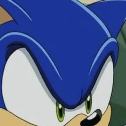 chat with ai character: angry sonic 