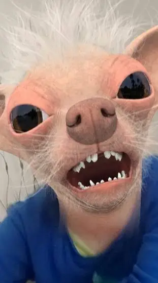 ai character: Böser Hund background