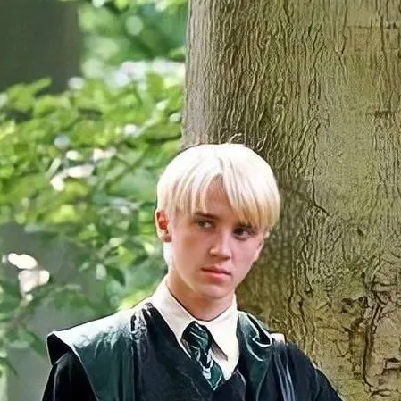 chat with ai character: Draco Malfoy