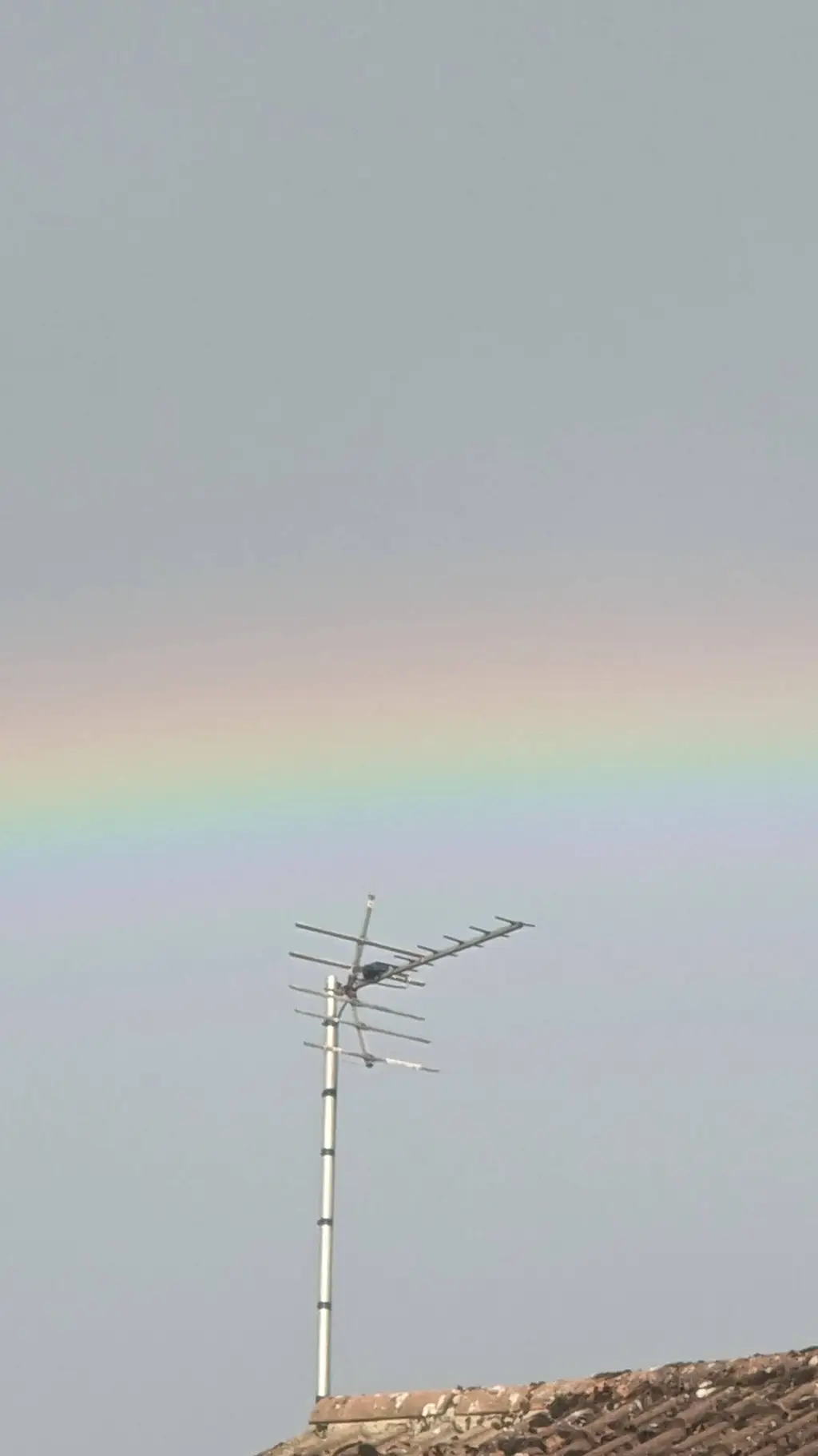 ai character: forsaken pick me 🥀 background