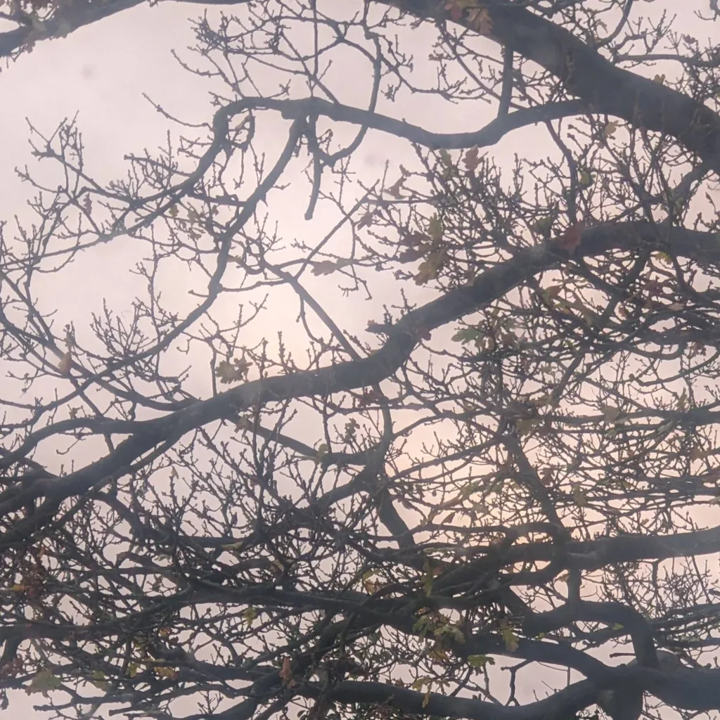 chat with ai character: 99nitf