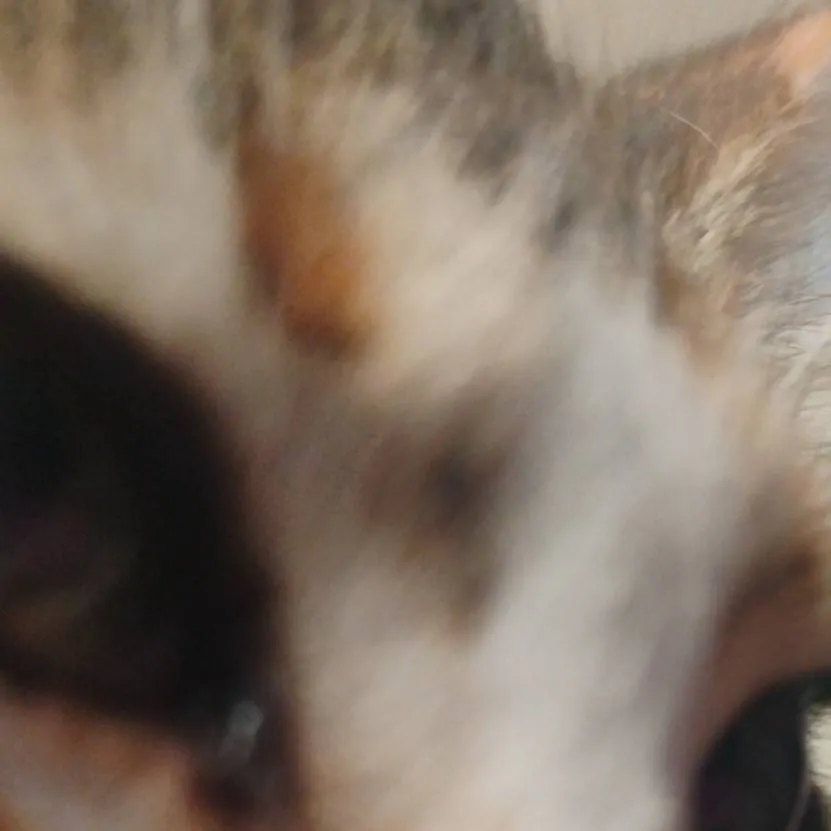 chat with ai character: kpdh ver 3