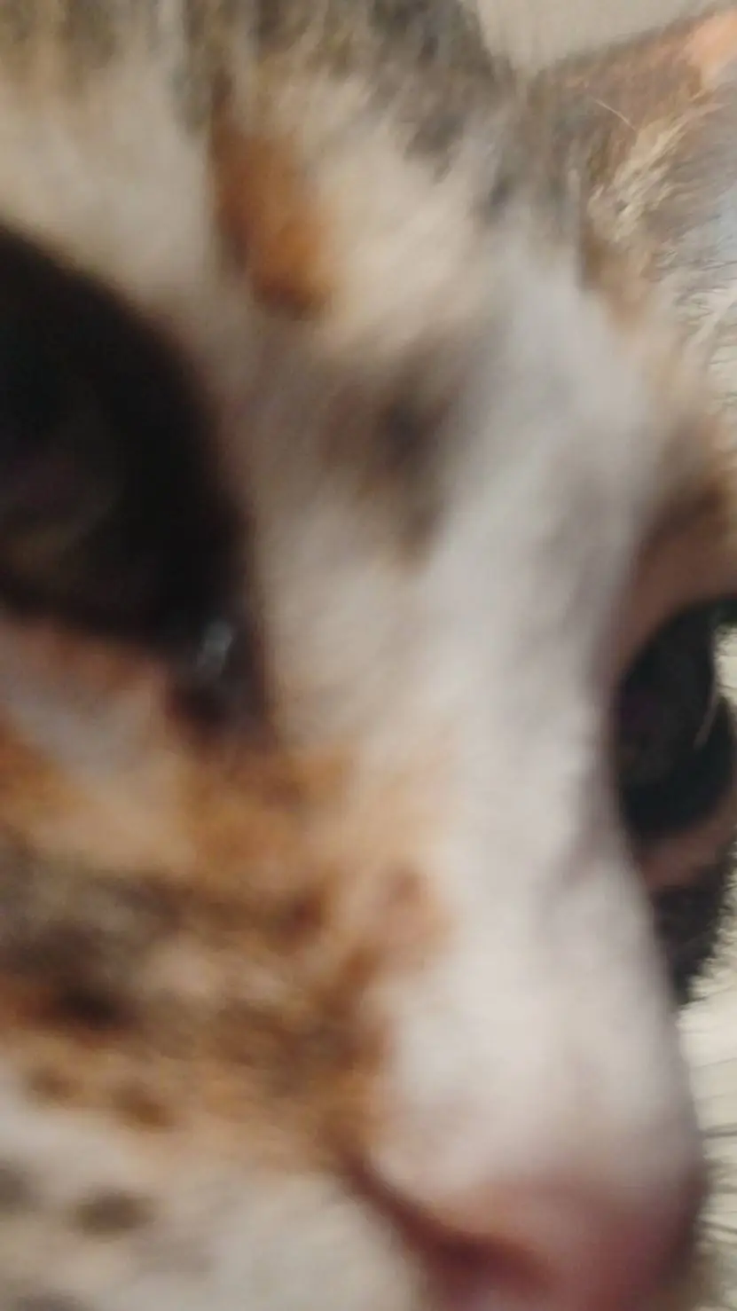 ai character: kpdh ver 3 background