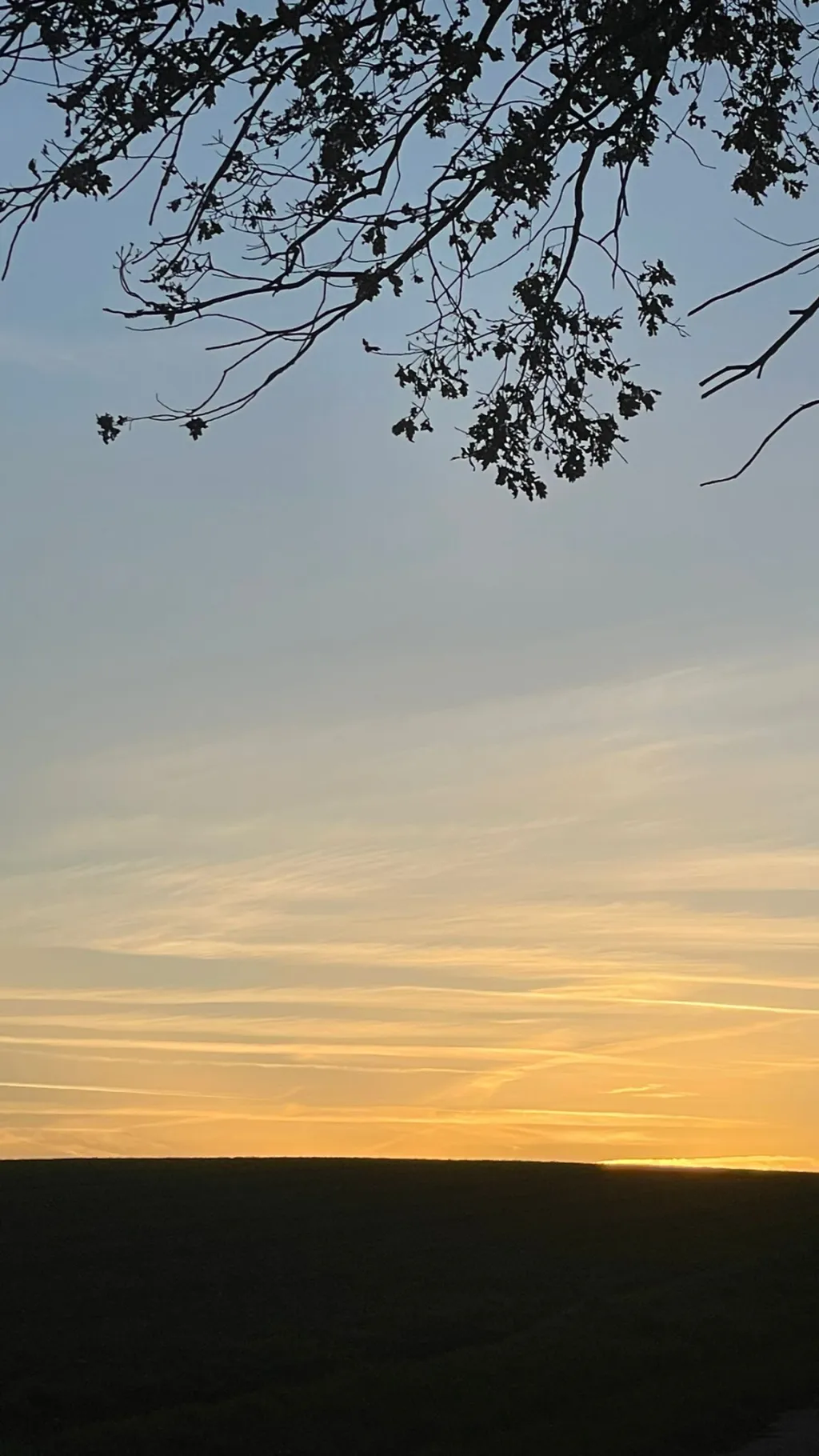 ai character: Someone background