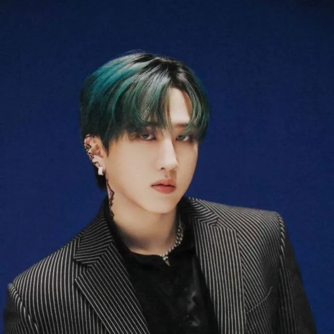 chat with ai character: Seo Changbin 