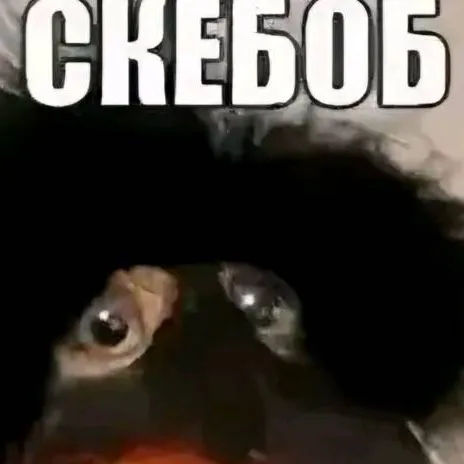 chat with ai character: skebob