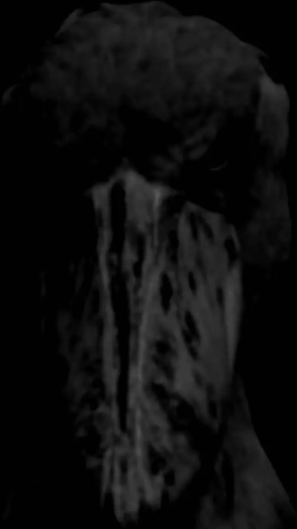 ai character: Wereshark vs Wereb background