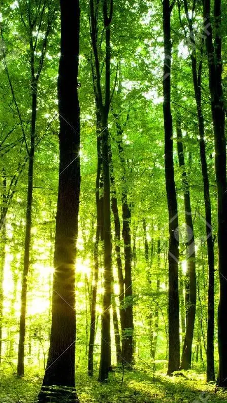 ai character: Friend Group background