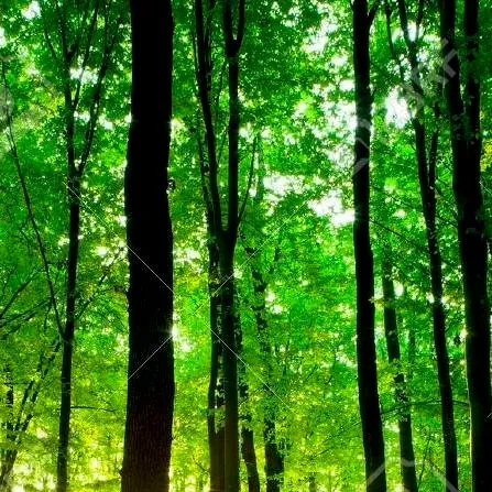 chat with ai character: Friend Group