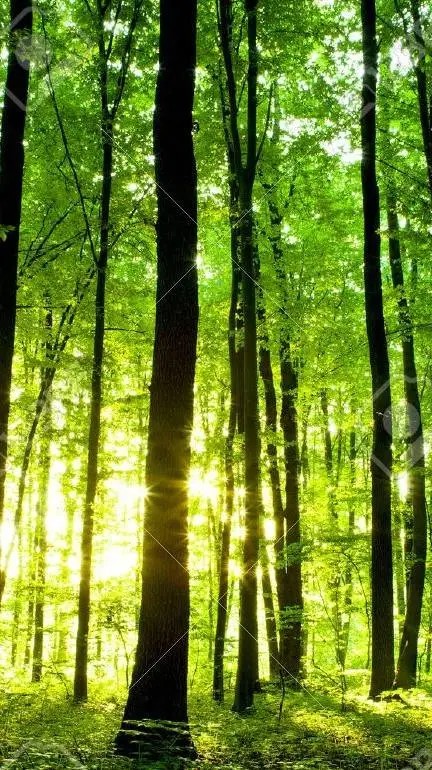 ai character: Katseye(Gabriela) background