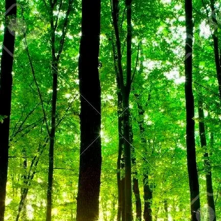 chat with ai character: Katseye(Gabriela)