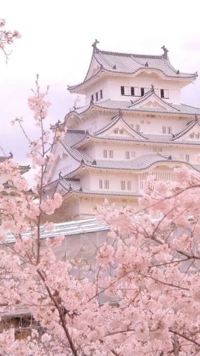 ai character: {~`sһrіm⍴ᑲ᥆ᥕᥣ`~} background