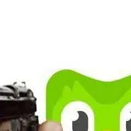 chat with ai character: duolingo