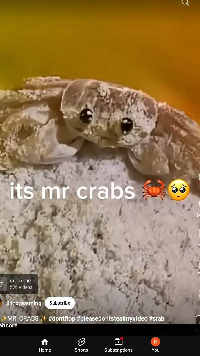 ai character: crk infection pt 1 background