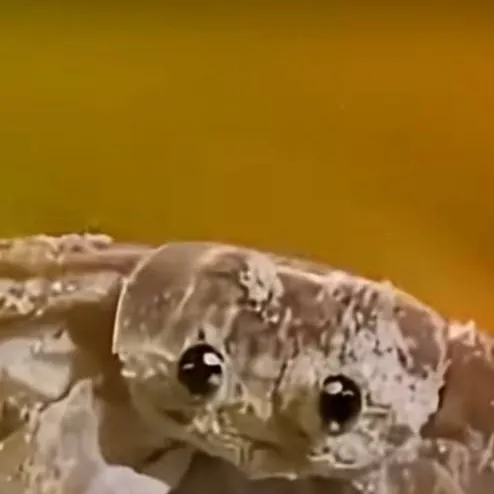 chat with ai character: crk infection pt 1