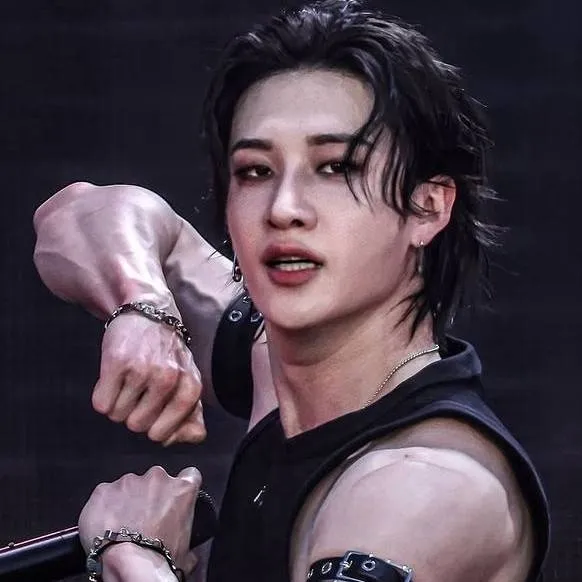 chat with ai character: 🌹Bang Chan🌹
