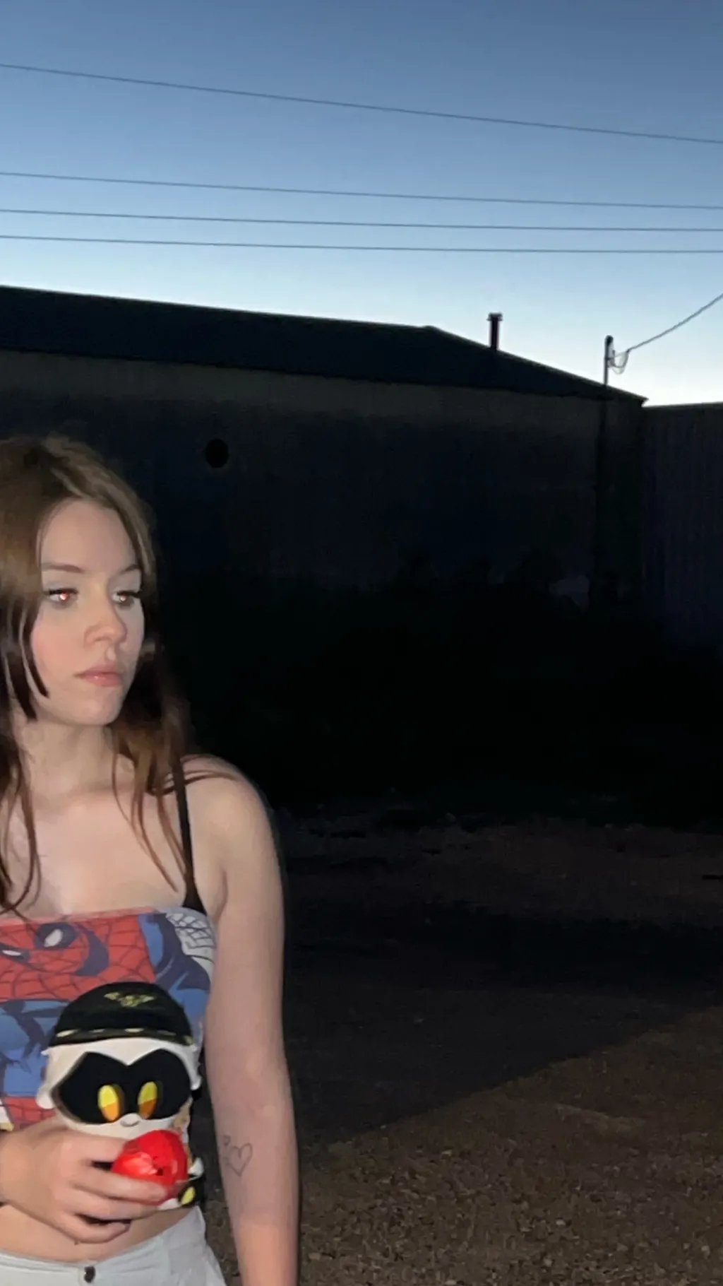 ai character: Hayley background