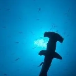 chat with ai character: 🫨🫨🫨uh oh!🫨🫨🫨