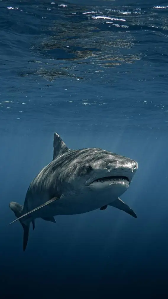 ai character: 🥳l-l-l-leooo🥳 background