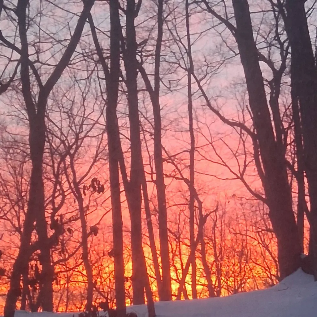 chat with ai character: Mia+nico