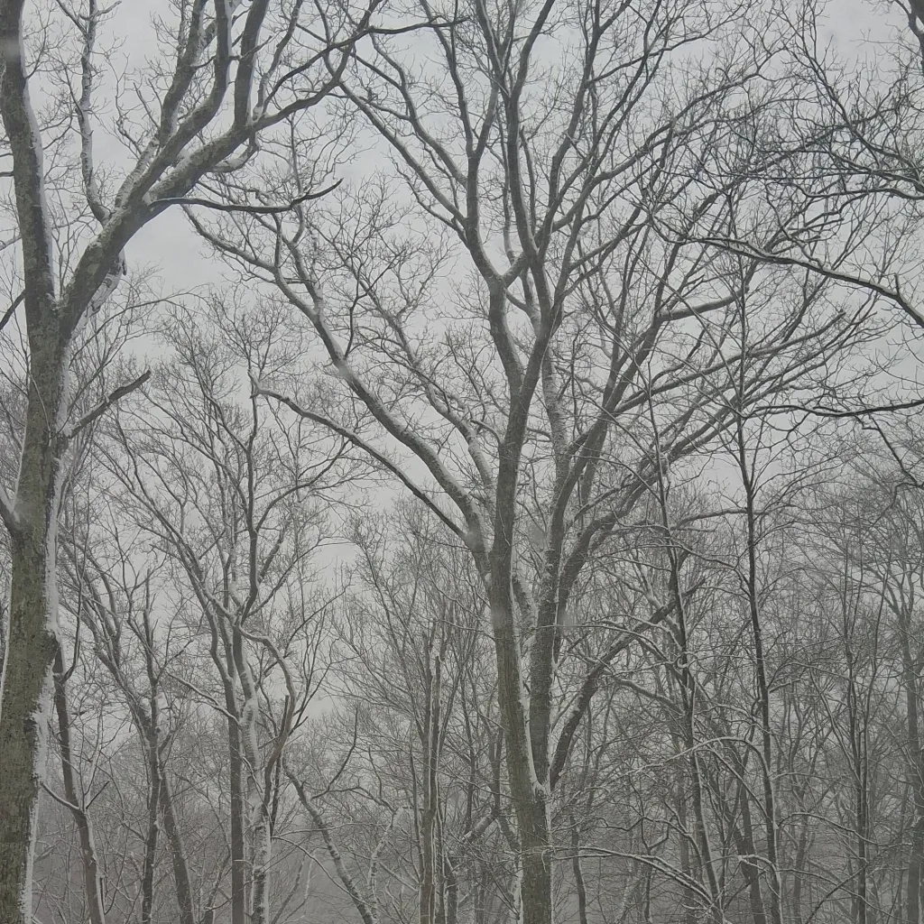 chat with ai character: 😨full name😨