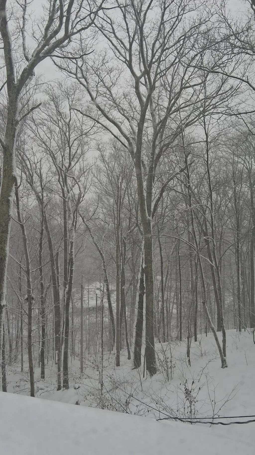 ai character: 😨full name😨 background