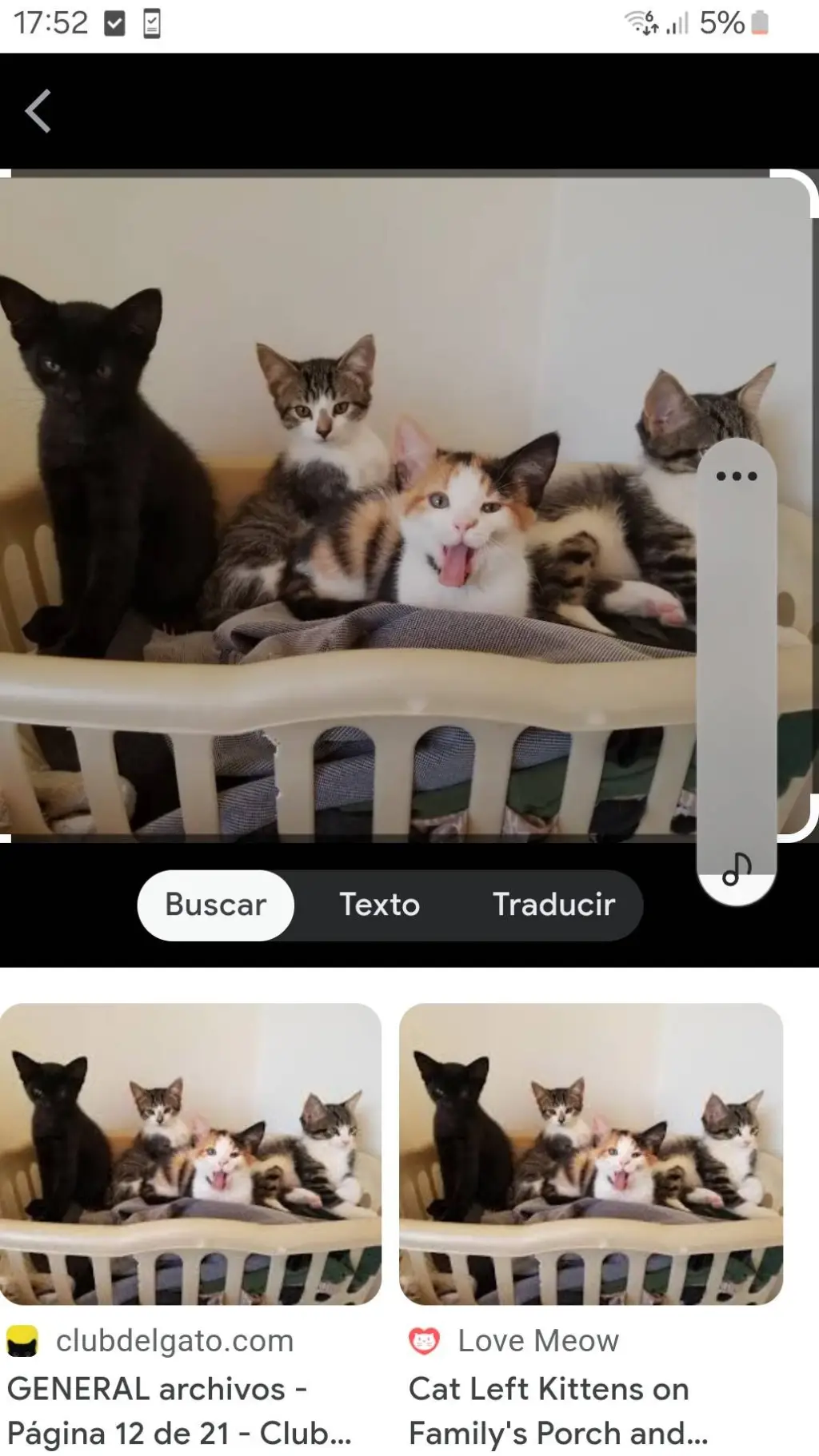 ai character: mama gato y gatito background