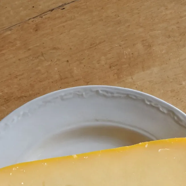 chat with ai character: CHEESE