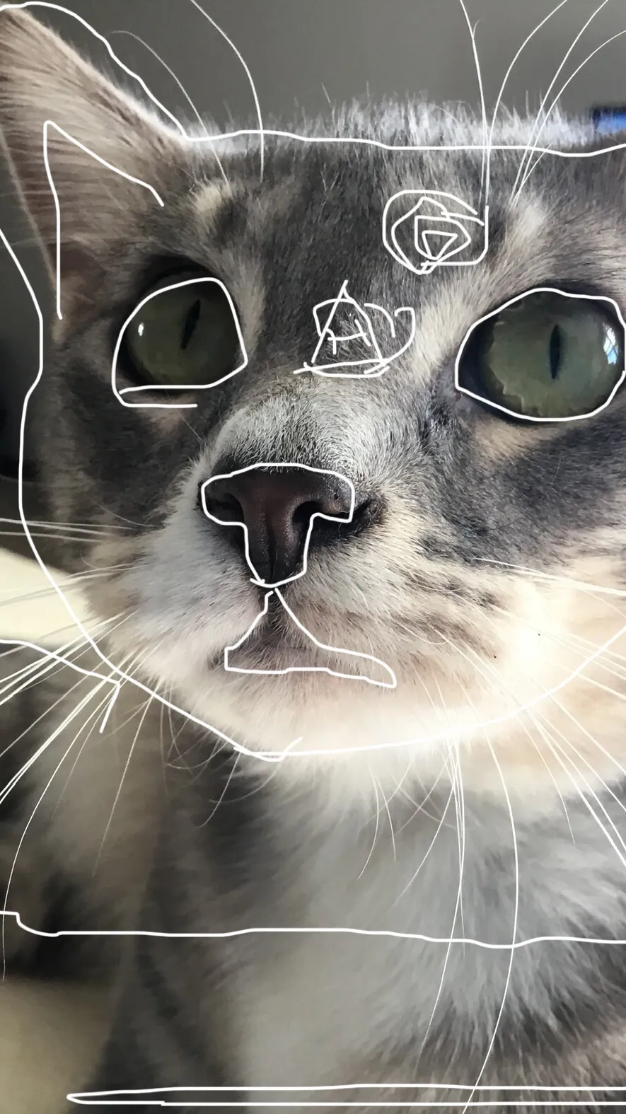 ai character: Yurrrr background