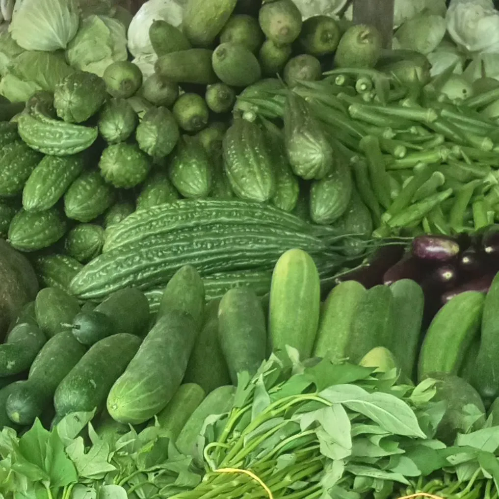 chat with ai character: EAT YOUR VEGETABLE