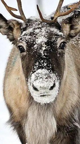 ai character: PM care for YOU! background