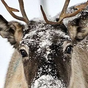 chat with ai character: PM care for YOU!