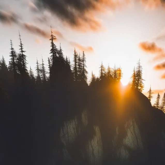 chat with ai character: Twilight