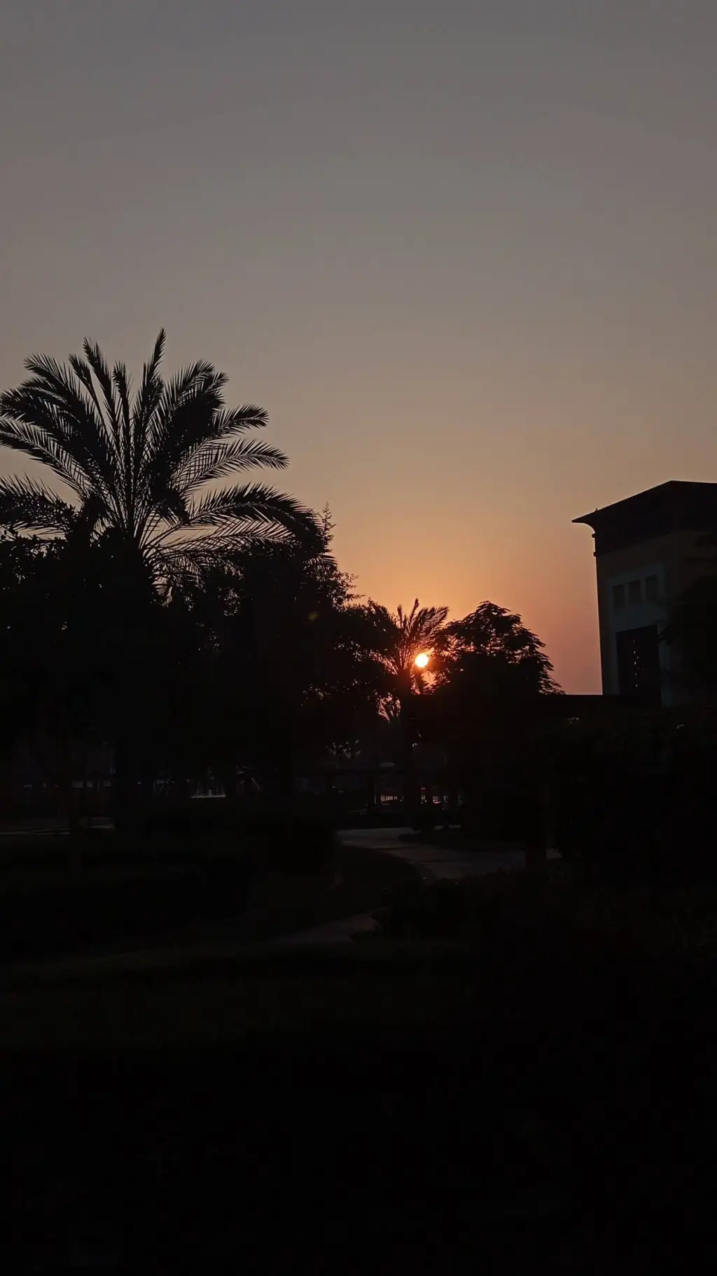 ai character: fineshyts background