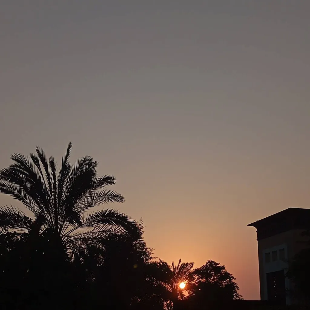 chat with ai character: fineshyts