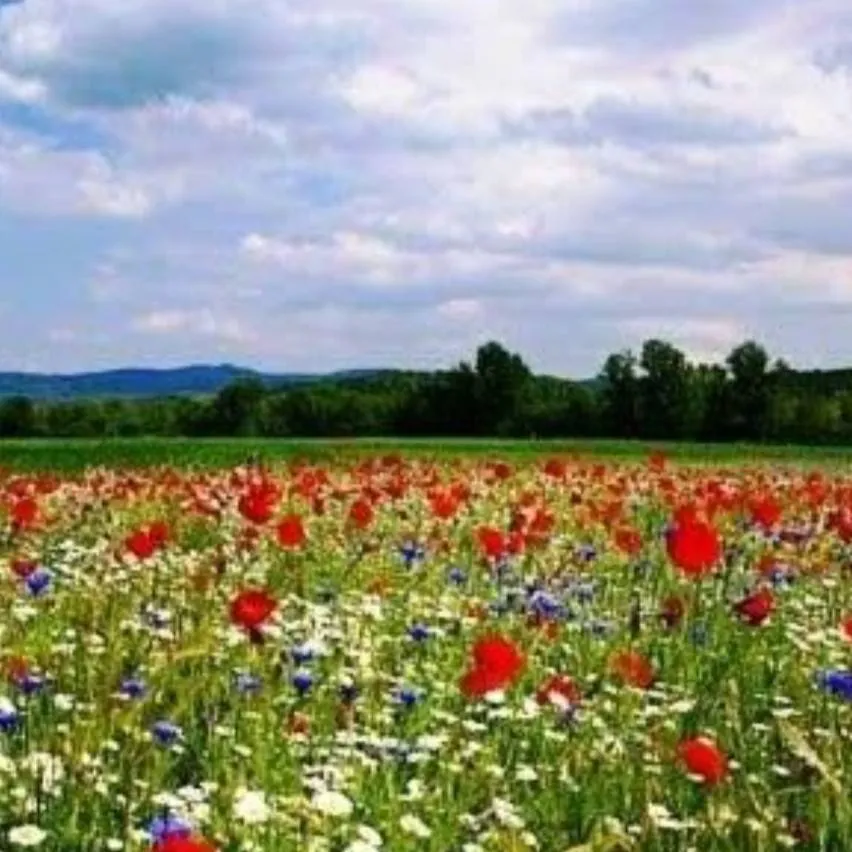 chat with ai character: Sleepover 