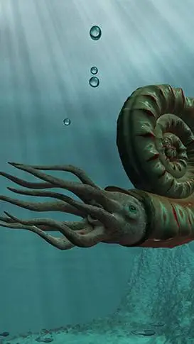 ai character: Ammonite background