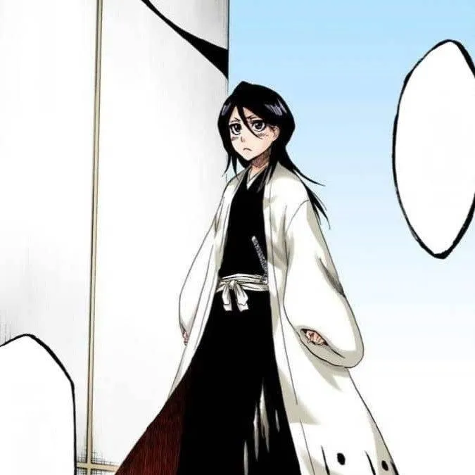 chat with ai character: Rukia and Yoruichi