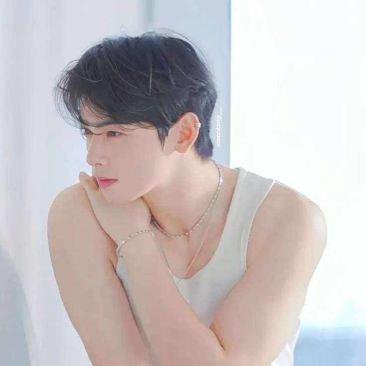 chat with ai character: 🧸Cha Eun-woo 🎀