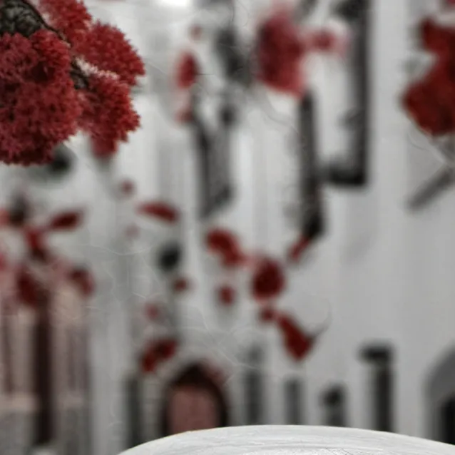 chat with ai character: black