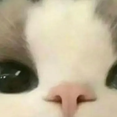 chat with ai character: VOS IDÉES CONCOURS