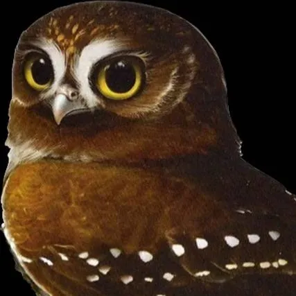 chat with ai character: emily the owl