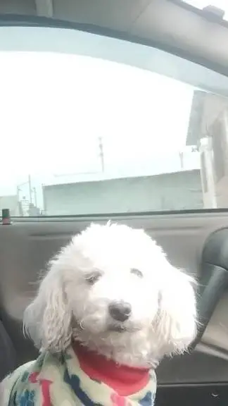 ai character: Otis  background